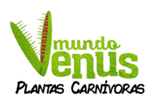 cropped mundo venus logo 1 175x124
